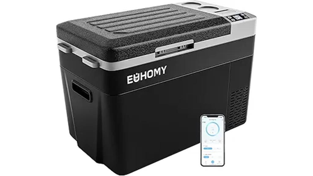 12v portable car cooler