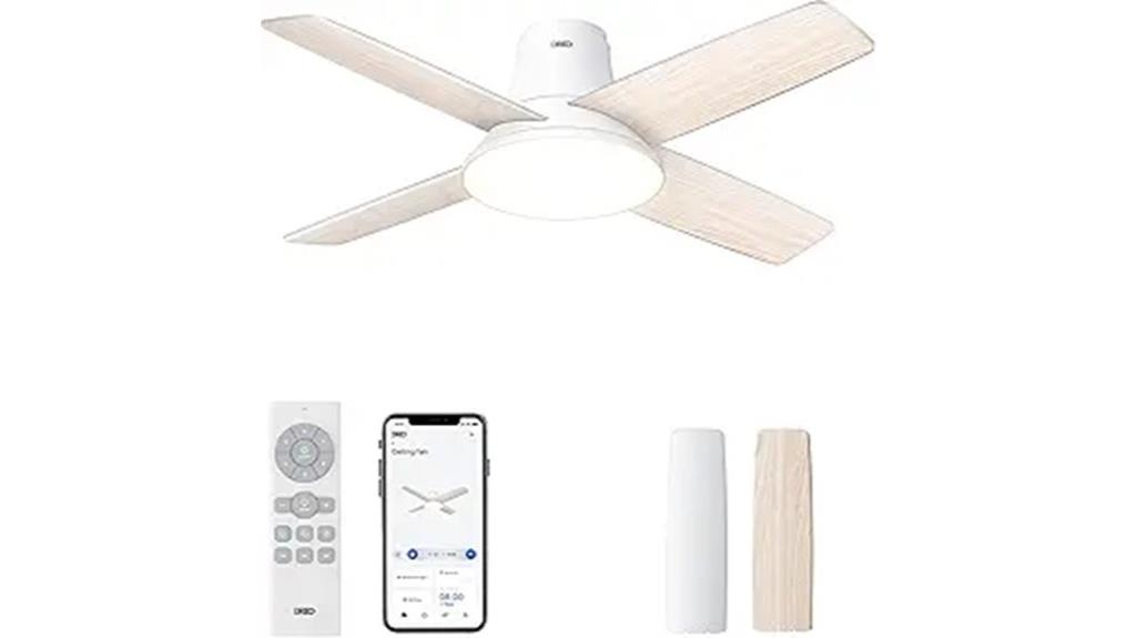 adjustable brightness and speed