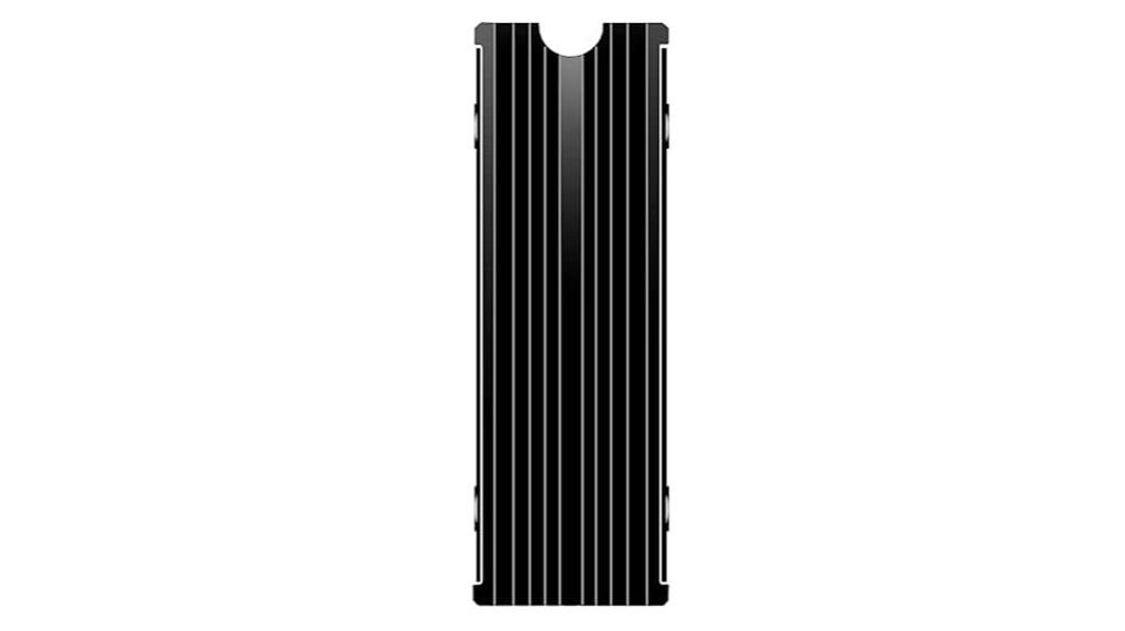 black m 2 ssd heatsink