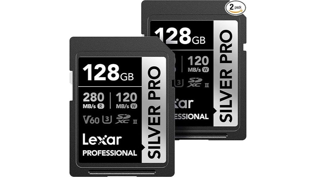 dual pack silver sd cards