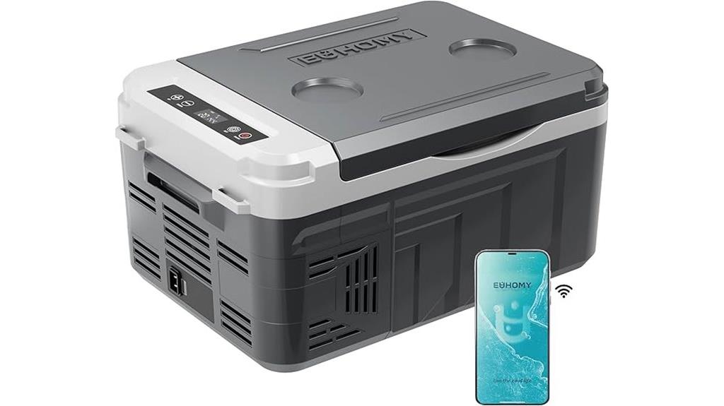 portable 12v cooler
