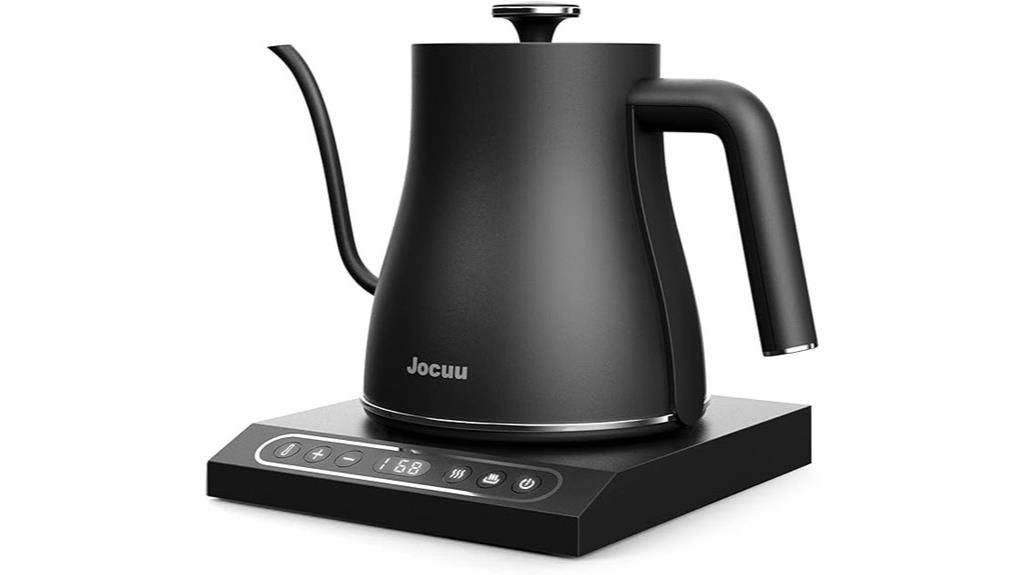 electric kettle with temperature control