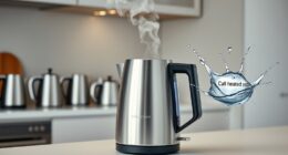 fast boiling electric kettles