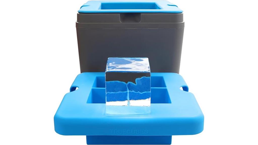 large silicone ice mold