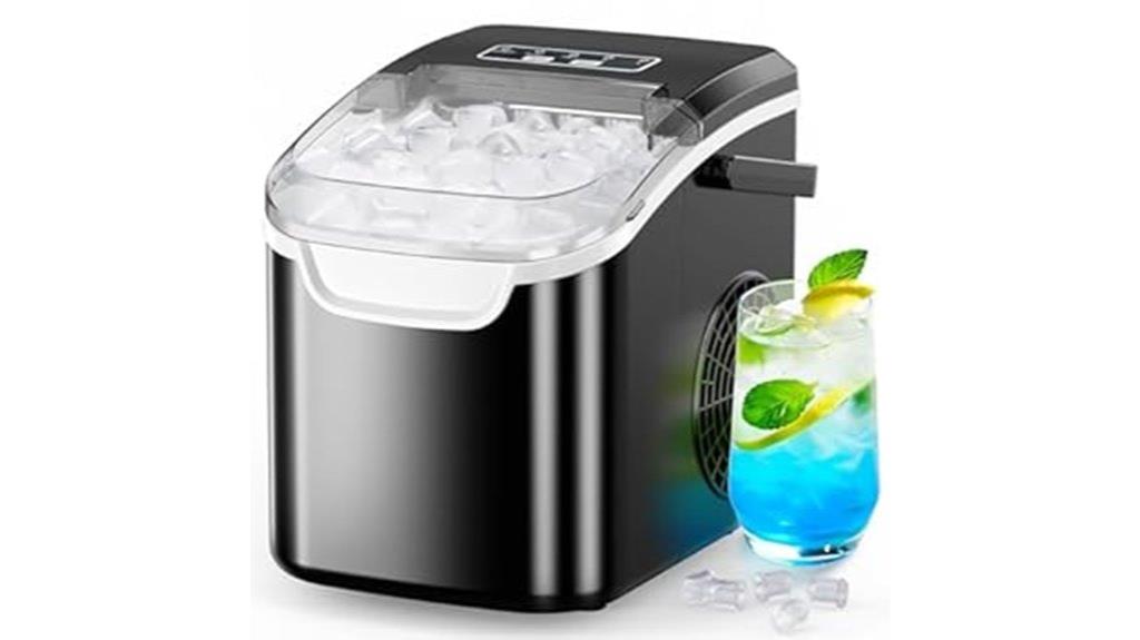 portable ice maker self cleaning