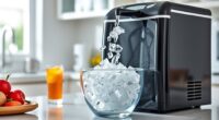 top portable ice makers