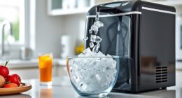 top portable ice makers
