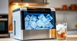 top rapid ice maker options