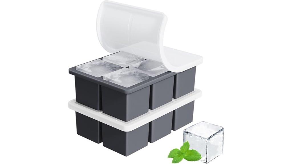 two pack whiskey ice trays