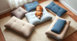 top orthopedic dog pillows