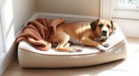 top orthopedic pet mattress picks