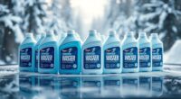 top winter washer fluids