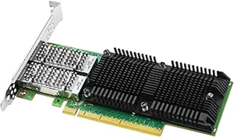 100GbE Network Card with Mellanox ConnectX-5 Ex
