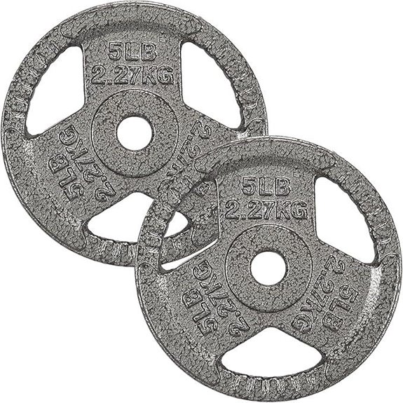 Cast Iron 1-Inch Standard Weight Plate