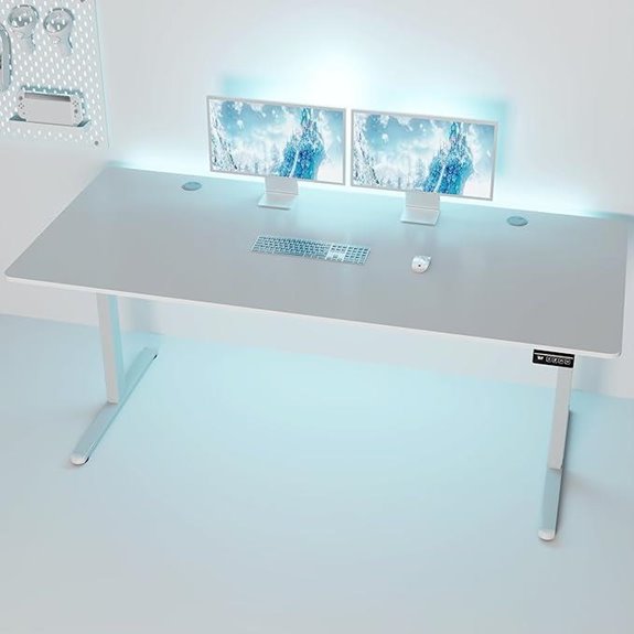 Shintenchi Adjustable Electric Standing Desk 71x31 Inch