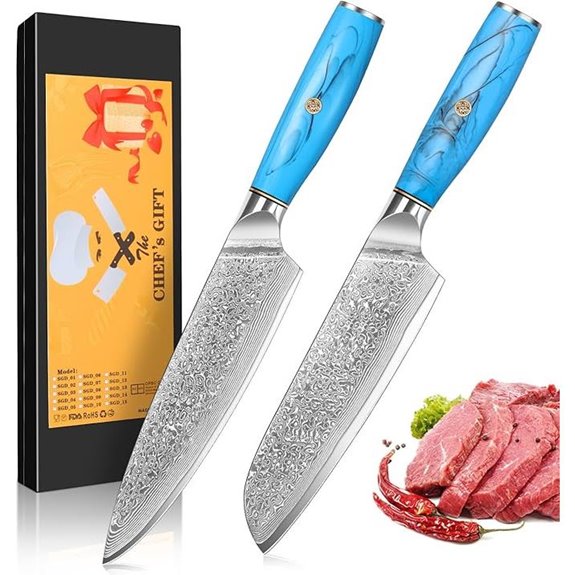 Damascus Chef & Santoku Knife Set with Ergonomic Handles