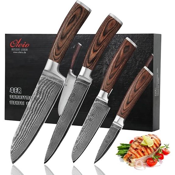 Wakoli Damascus Knife Set with VG10 Blades Ergonomic Handles