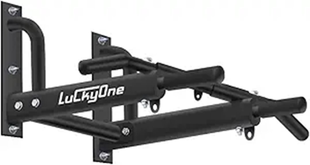 Heavy Duty Steel Wall Mount Pull-Up Bar