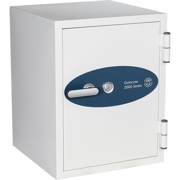 Datacare Fireproof Media Safe (0.58 cu ft Key Lock)