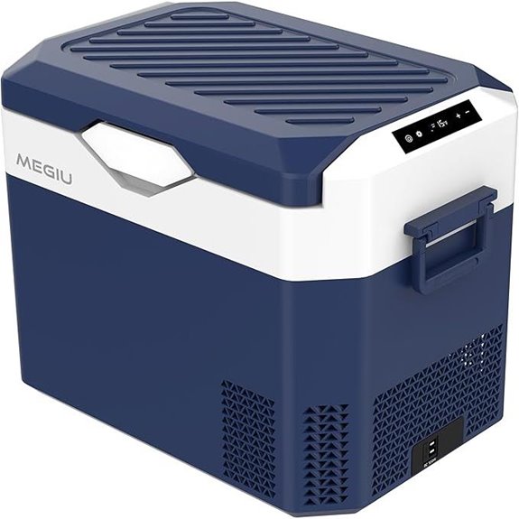 Portable 12V Car Refrigerator and Cooler