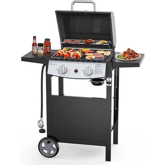 Portable 2-Burner Propane Gas Grill with Side Shelves