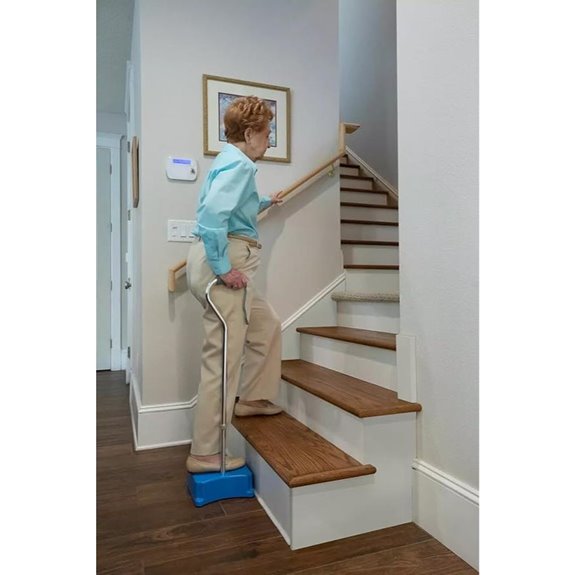 Stair Climbing Assist Cane with Portable Lift