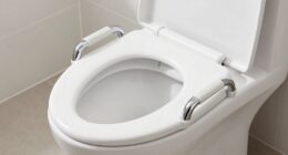 top senior toilet seat options