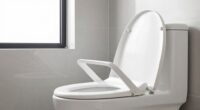 top toilet seat lifts