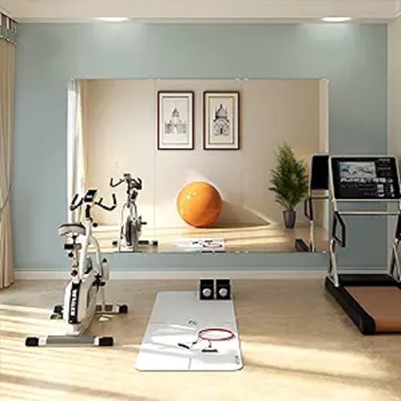 Murrey Home Gym Wall-Mounted Full-Length Mirrors (2 Pack)