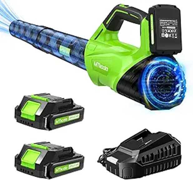 Cordless Leaf Blower with Batteries Fast Charger